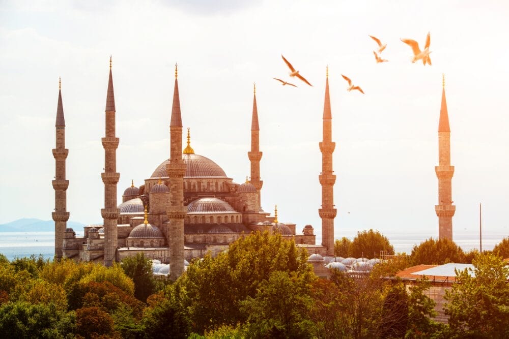 La Moschea Blu di Istanbul, in Turchia, con i sei minareti che si ergono sopra gli alberi, gli uccelli che volano nel cielo e la luce del sole che illumina la scena: un'attrazione imperdibile in qualsiasi tour della Turchia.