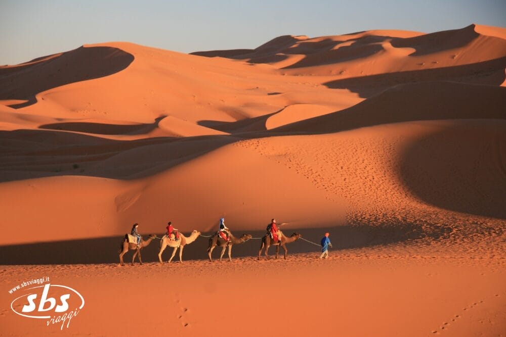 Un gruppo di persone a cavallo di cammelli viene condotto da una guida attraverso vaste dune di sabbia illuminate dal sole nel Sud Marocco, sotto un cielo limpido. Lunghe ombre si allungano sul deserto arancione. Nell'angolo in basso a sinistra si legge il logo "sbs".