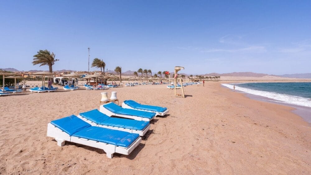 Sdraio con cuscini blu costeggiano la spiaggia sabbiosa di Faraana Heights, con palme, ombrelloni e l'oceano blu che si estende sotto un cielo limpido.