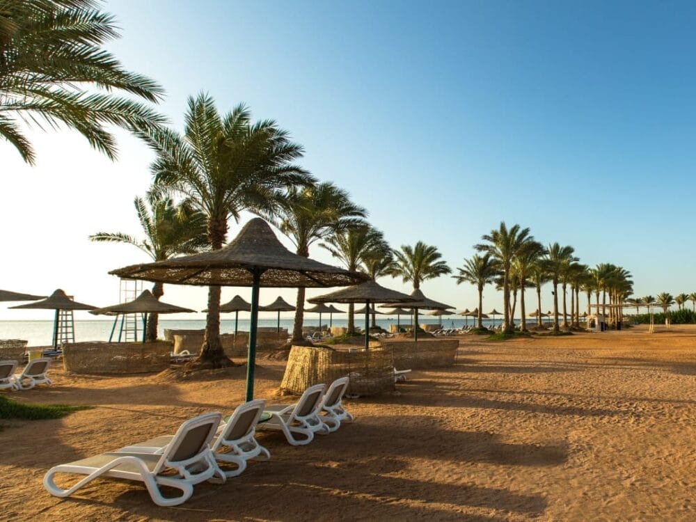 File di sedie a sdraio bianche e grandi ombrelloni di paglia costeggiano la spiaggia vuota dell'Aurora Oriental Resort, un hotel di lusso di Sharm El Sheikh, circondato da palme sotto un cielo azzurro e limpido vicino alla costa.