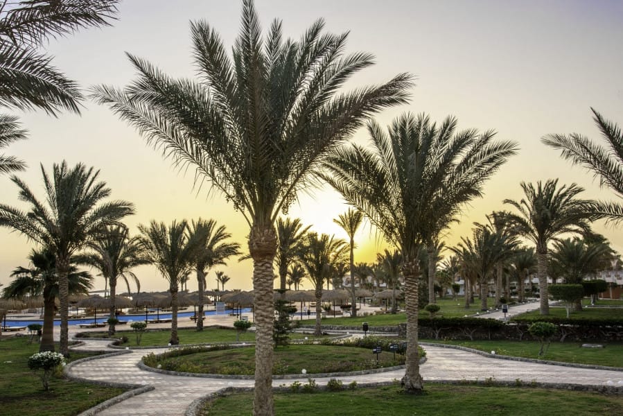 Palme e sentieri tortuosi in pietra in un giardino paesaggistico al tramonto, con la piscina e le sedie a sdraio sullo sfondo, evocano la tranquilla atmosfera del Three Corners Sea Beach Resort.