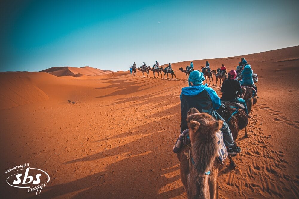 Un gruppo di persone cavalca i cammelli in fila attraverso dune di sabbia arancione sotto un cielo azzurro e limpido, che proietta lunghe ombre sul deserto: un'indimenticabile avventura nel Sud del Marocco. L'immagine include il logo "sbs viaggi" nell'angolo in basso a sinistra.