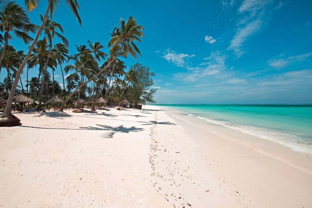 Una spiaggia tropicale con sabbia bianca, acqua turchese, cielo azzurro e alte palme che si affacciano sulla riva. Gli ombrelloni di paglia evocano il Seaclub Style sullo sfondo, mentre le dolci onde lambiscono la costa: un vero sogno del TUI Blue Bahari.
