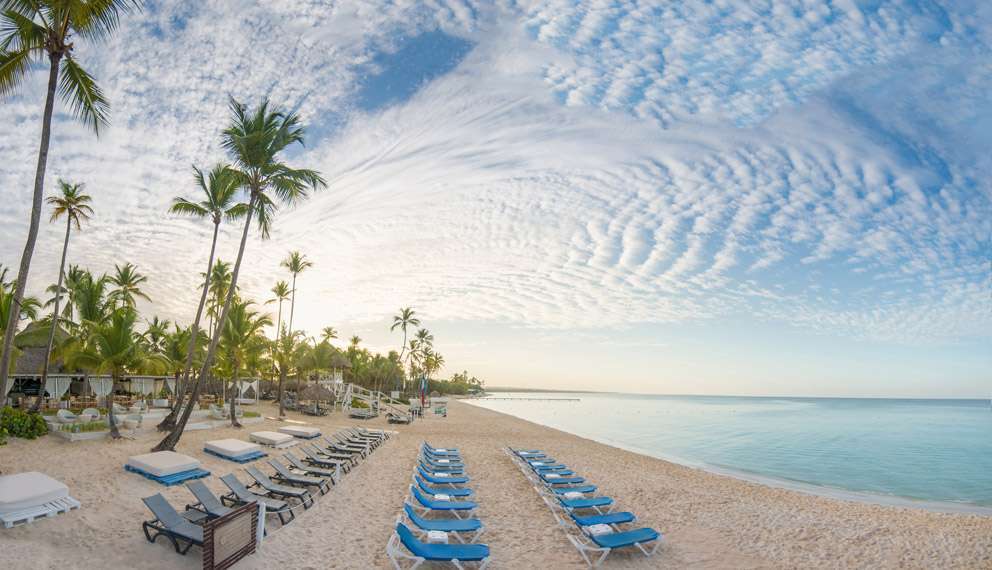 La spiaggia tropicale del Seaclub Catalonia Bayahibe offre file di sedie a sdraio bianche e blu vuote su sabbia dorata, palme alte, un mare calmo e un cielo azzurro con nuvole sottili durante il giorno.