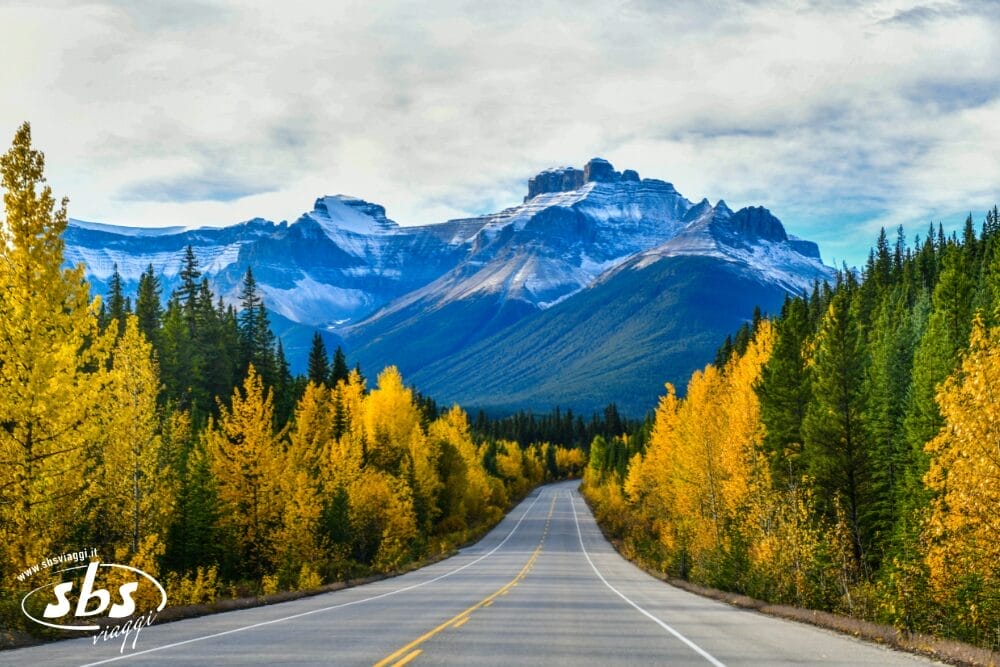 Una strada panoramica, contrassegnata come bozza automatica, si snoda tra alberi autunnali con foglie dorate che conducono verso montagne innevate, mentre una fitta foresta verde si estende su entrambi i lati sotto un cielo parzialmente nuvoloso.