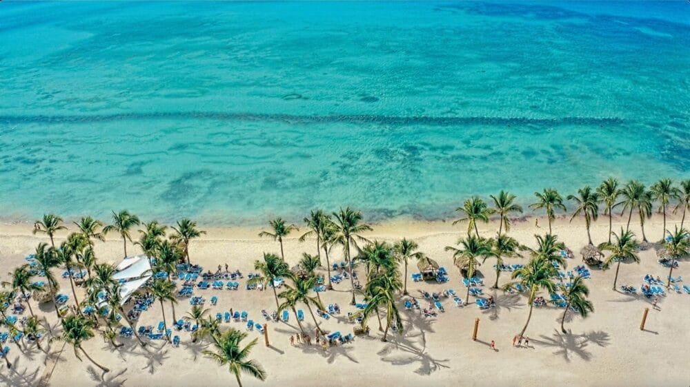 Veduta aerea di una spiaggia tropicale del Sunscape Dominicus, con acqua limpida e turchese, palme e file di sedie a sdraio blu sulla riva sabbiosa, dove le persone si rilassano e si godono il tempo soleggiato.