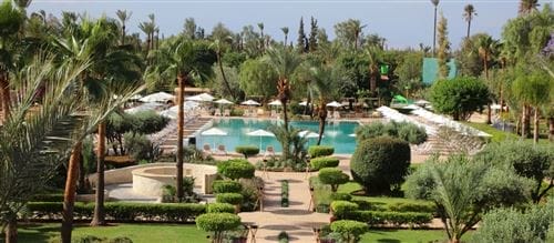 Il lussureggiante giardino dell'Iberostar Palmeraie Marrakech, con cespugli verdi e palme curate, circonda una grande piscina con sedie a sdraio e ombrelloni bianchi, sotto un cielo limpido: un'evasione da sogno del Kappa Club.