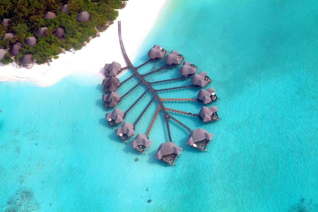 Vista aerea dei bungalow overwater del resort Coco Palm Dhuni Kolhu Maldives, disposti a forma di foglia su un'acqua limpida e turchese, accanto a una spiaggia di sabbia bianca fiancheggiata da fitti alberi verdi. Scoprite la bellezza di questa isola di lusso.