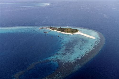 Piccola isola tropicale circondata da un oceano limpido e dalla barriera corallina, Bravo Maayafushi è caratterizzata da una spiaggia di sabbia bianca, da una vegetazione lussureggiante e da alcune strutture overwater che si estendono nel mare.