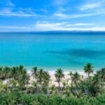 Bravo Premium Viva Miches