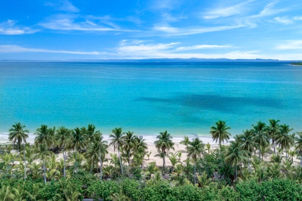 Una spiaggia tropicale con sabbia bianca, acqua turchese e file di palme, sotto un cielo blu brillante con nuvole sottili. Godetevi la serena bellezza di Viva Miches mentre la terra lontana appare all'orizzonte attraverso il mare calmo.