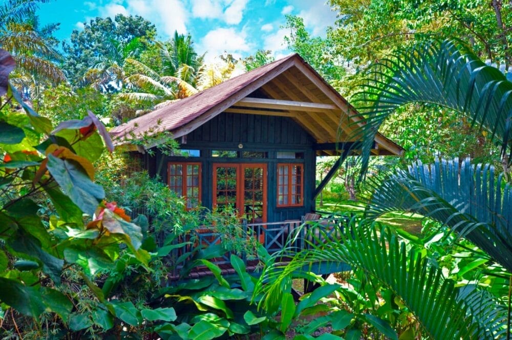 Al Sunset At The Palms, una piccola cabina in legno con veranda si trova circondata da piante e alberi tropicali lussureggianti, con la luce del sole che filtra attraverso il verde sotto un cielo blu con nuvole sparse.