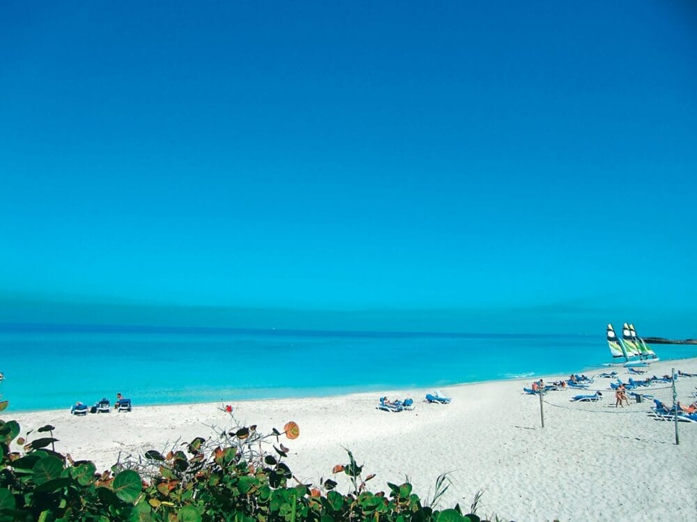 La spiaggia luminosa e soleggiata del Searesort Playa Vista Azul è caratterizzata da acque turchesi e trasparenti, sabbia bianca, sedie a sdraio e alcune persone che si rilassano. Barche a vela con vele colorate fiancheggiano la riva, mentre piante verdi aggiungono fascino al primo piano.