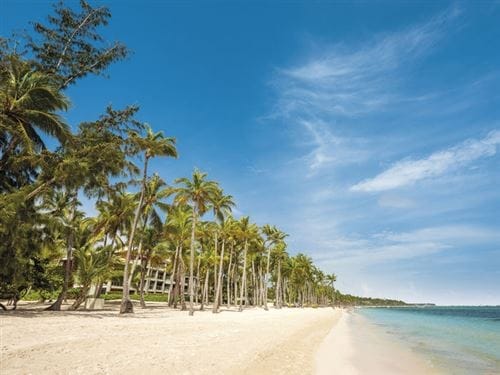 La spiaggia tropicale di Punta Cana è caratterizzata da sabbia bianca, acqua cristallina e alte palme sotto un cielo soleggiato. Il Barcelo Bavaro Palace, un resort all inclusive, è incastonato tra gli alberi sullo sfondo.