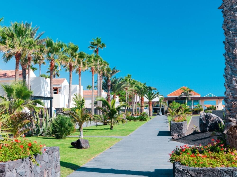 Un viale fiancheggiato da palme e aiuole fiorite conduce accanto a edifici bianchi con tetti di tegole rosse sotto un cielo blu chiaro, catturando l'atmosfera invitante del resort Barcelo Fuerteventura Castillo Seaclub.