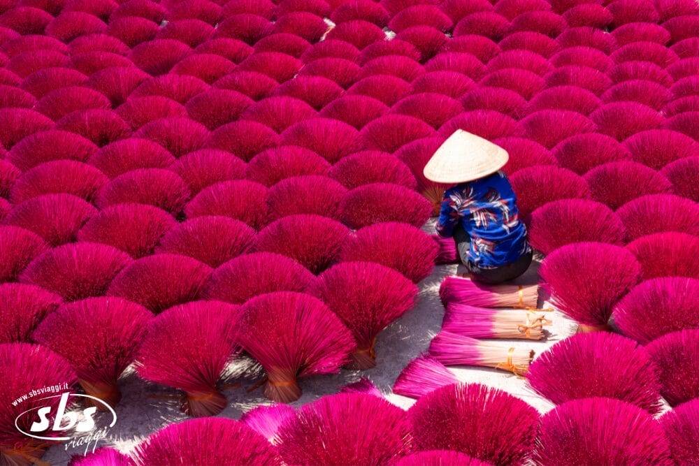 Una persona con un cappello conico dispone fasci di bastoncini d'incenso rosa acceso, circondati da file di incensi ordinatamente sventolati che si asciugano al sole. La scena, vivace e ordinata, mette in risalto l'artigianato tradizionale e la precisione simile a quella di Bozza automatica.