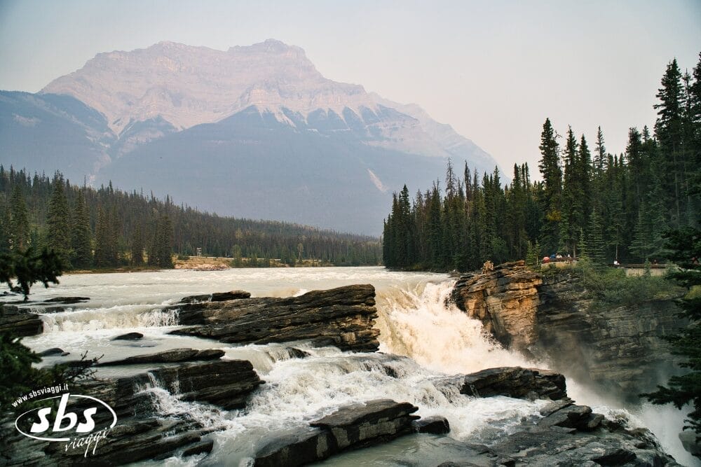 Una potente cascata si getta su rocce frastagliate con fitte pinete e una montagna avvolta nella nebbia sullo sfondo, catturando la bellezza selvaggia della natura in una scena degna di un capolavoro dell'automatismo Bozza.