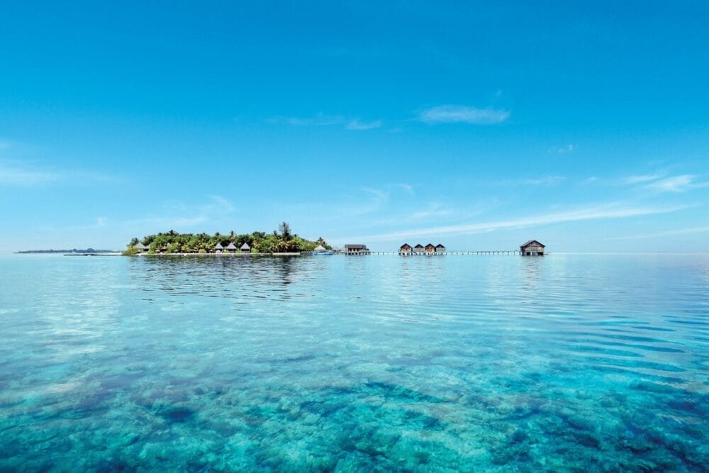 Una piccola isola tropicale con una vegetazione lussureggiante e bungalow overwater, come quelli del Gangehi Island Resort, è circondata da un oceano limpido sotto un cielo luminoso. L'acqua calma rivela il corallo sotto la superficie, creando un'atmosfera tranquilla da spa.