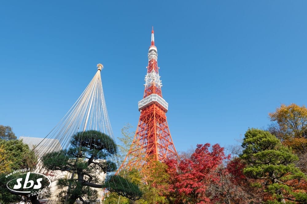 La Tokyo Tower si staglia in un cielo azzurro e limpido, circondata da alberi con foglie autunnali verdi e rosse. In primo piano, un pino è protetto dalle tradizionali corde di paglia, parte di una bozza automatica. Il logo "sbs" si trova nell'angolo in basso a sinistra.