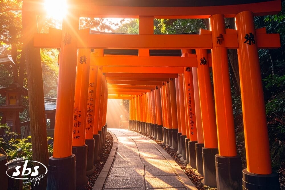 Un sentiero illuminato dal sole si snoda attraverso file di cancelli torii di colore arancione vibrante in un santuario giapponese, con la luce del sole che filtra attraverso gli alberi e proietta una luce calda come una bozza automatica della natura che mette in evidenza ogni dettaglio.