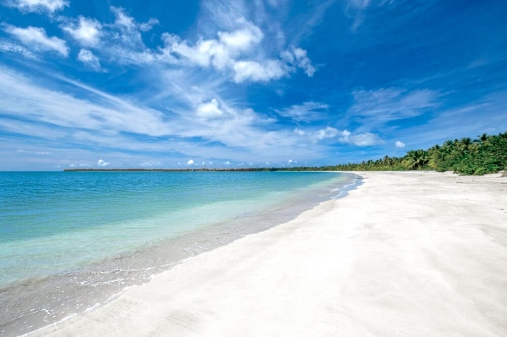 Una spiaggia incontaminata e vuota, con sabbia bianca e acque turchesi limpide, vi aspetta al Viva Miches, dove le palme costeggiano la riva sotto un cielo azzurro con nuvole sparse: una vera e propria fuga da Bravo Premium.