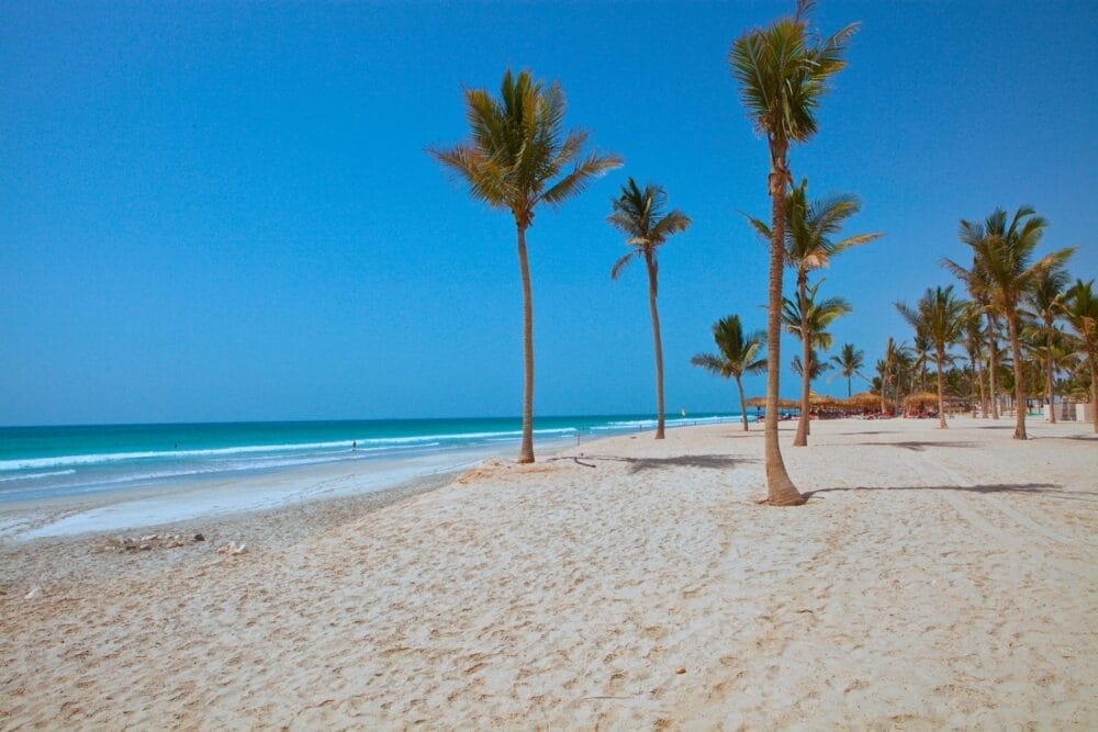 Una spiaggia sabbiosa con alte palme, dolci onde e un cielo limpido al Salalah Rotana Resort. L'oceano calmo e turchese e le capanne lontane creano una scena tranquilla e tropicale perfetta per il relax.