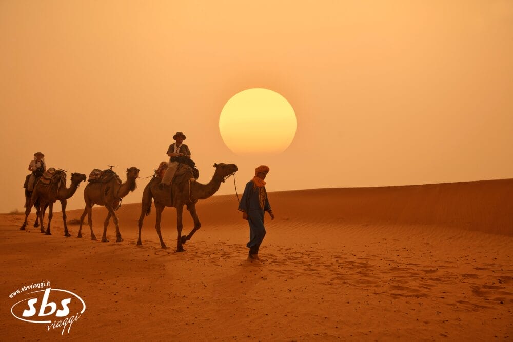 Un gruppo di persone in un tour VIP con cammelli attraversa il deserto sabbioso del Marocco al tramonto, con il grande sole basso nel cielo arancione e le ombre che si allungano lungo le dune.