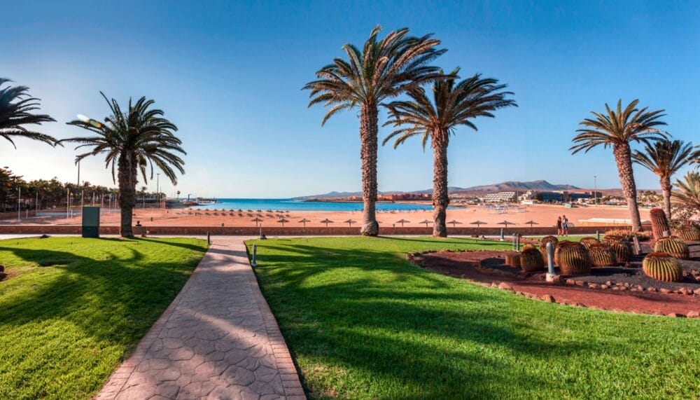 Un sentiero lastricato fiancheggiato da palme conduce dai prati curati e dai cactus del Castillo alla spiaggia sabbiosa del Barcelo Fuerteventura Seaclub, con ombrelloni, mare azzurro e calmo e montagne lontane sotto un cielo limpido.