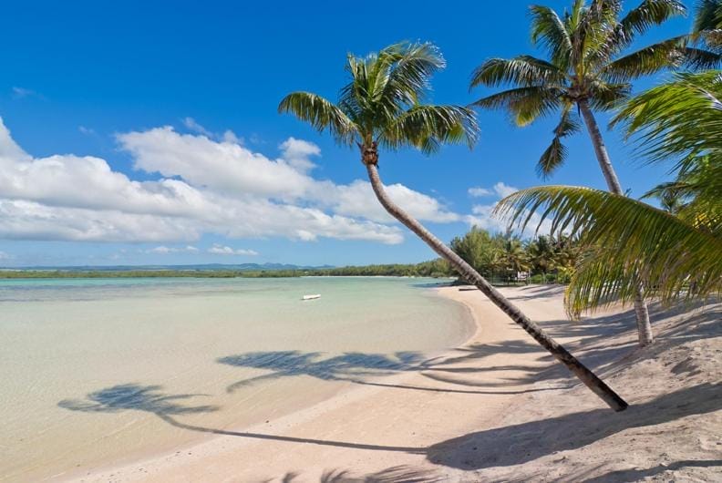Una soleggiata spiaggia tropicale con acque limpide e turchesi, sabbia bianca e alte palme che fanno ombra sulla riva. Il cielo blu brillante e il mare calmo creano una fuga perfetta vicino al Jalsa Beach Hotel per un rilassante ritiro termale.