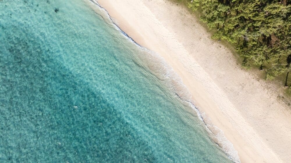 Veduta aerea di un oceano limpido e turchese che incontra dolcemente una spiaggia sabbiosa, con fitti alberi verdi che costeggiano la riva sul lato destro: una scena idilliaca che ricorda le serene fughe isolane di Constance Tekoma Rodrigues.
