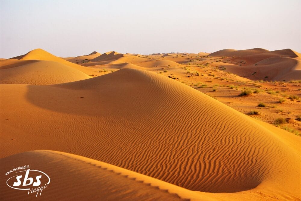 Dune di sabbia che si estendono sotto un cielo limpido in un paesaggio desertico. Le dune mostrano i motivi strutturati dal vento e rade macchie di erba secca punteggiano l'area, come una bozza automatica della natura. La scena è illuminata dal sole con ombre morbide.