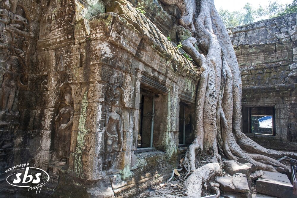 Antiche mura di un tempio in pietra ricoperte di incisioni, con enormi radici di alberi che crescono sopra e attraverso la struttura, fondendo la natura con le rovine. La luce del sole filtra attraverso la scena: uno scorcio autentico di un'avventura del Tour Cambogia.