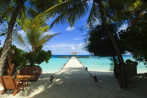 Un pontile di legno si estende sull'acqua turchese verso una capanna con tetto di paglia a Bravo Maayafushi, incorniciata da palme e piante tropicali, con un sentiero sabbioso e una panchina di legno in primo piano sotto un cielo blu brillante.