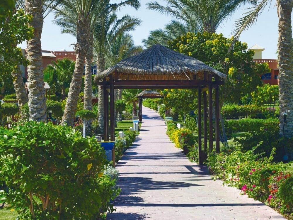 Un sentiero in pietra, fiancheggiato da una vegetazione lussureggiante, fiori e palme, conduce sotto un pergolato rustico in legno con tetto di paglia nei soleggiati giardini tropicali del Coral Sea Holiday Resort.