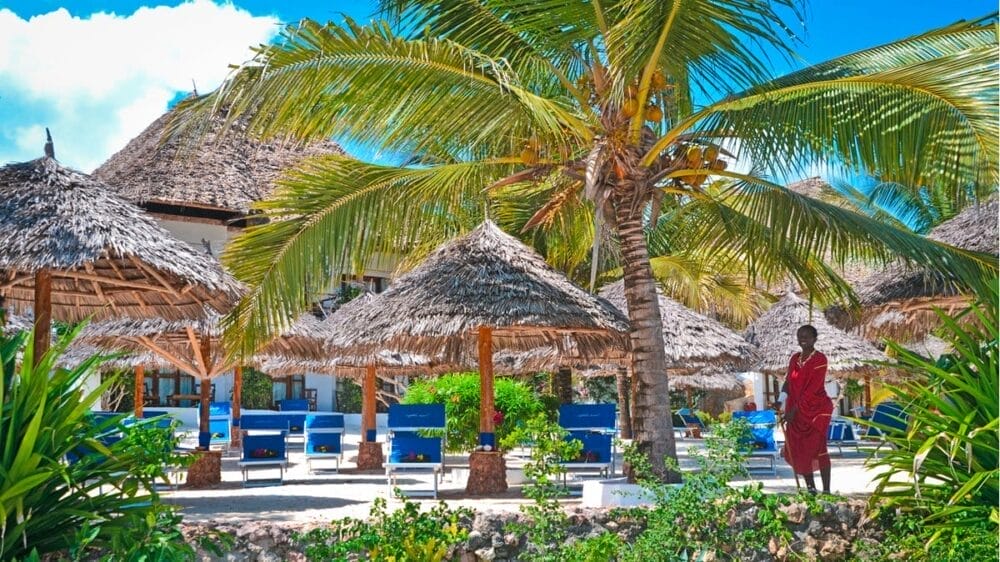 Palme e ombrelloni di paglia ombreggiano le sedie a sdraio blu del My Blue Hotel, un resort tropicale. Una persona vestita di rosso è in piedi sulla destra, con una vegetazione lussureggiante ed edifici in stile tradizionale sullo sfondo.
