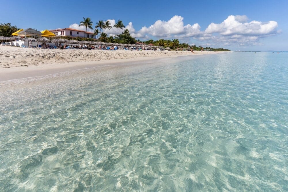 L'acqua turchese, limpida e poco profonda, lambisce dolcemente una spiaggia sabbiosa fiancheggiata da palme, ombrelloni e dall'incantevole edificio fronte mare Starfish Cuatro Palmas, sotto un cielo azzurro con nuvole sparse.