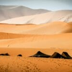 Minitour Sahara Express