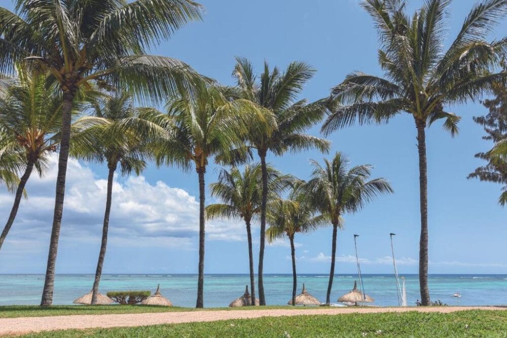 Alte palme costeggiano la riva erbosa di Canonnier Beachcomber, con ombrelloni di paglia e un sentiero sabbioso in primo piano. L'oceano limpido e turchese e il cielo azzurro con nuvole sparse fanno da sfondo.
