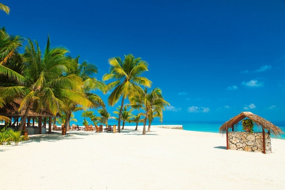 Spiaggia tropicale con sabbia bianca, palme, sedie e tavoli di legno all'ombra, una piccola capanna di paglia e l'oceano turchese sotto un cielo azzurro e limpido: l'ideale per una vacanza al mare al Seaclub Dhiggiri.