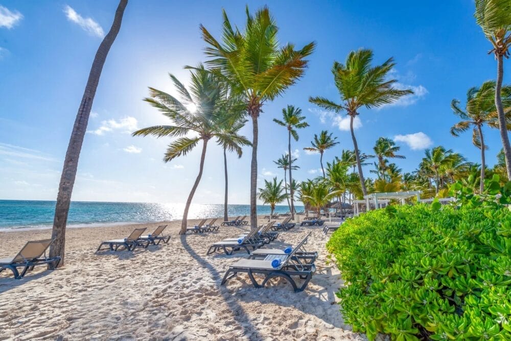 Una soleggiata spiaggia tropicale con alte palme, sabbia bianca, file di sedie a sdraio vuote e cespugli verdi a Bavaro Beach, con l'oceano e il cielo blu sullo sfondo.