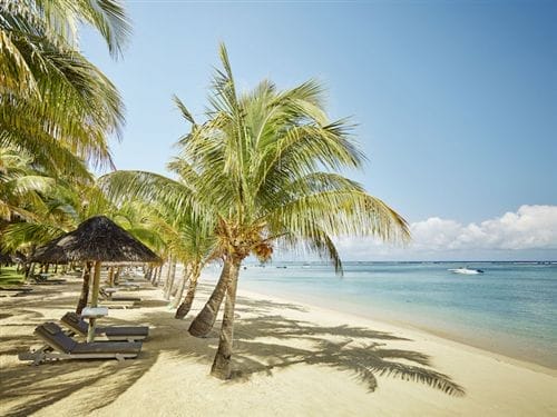 Una spiaggia con palme e ombrelloni, Lux Le Morne offre una serena fuga tropicale.