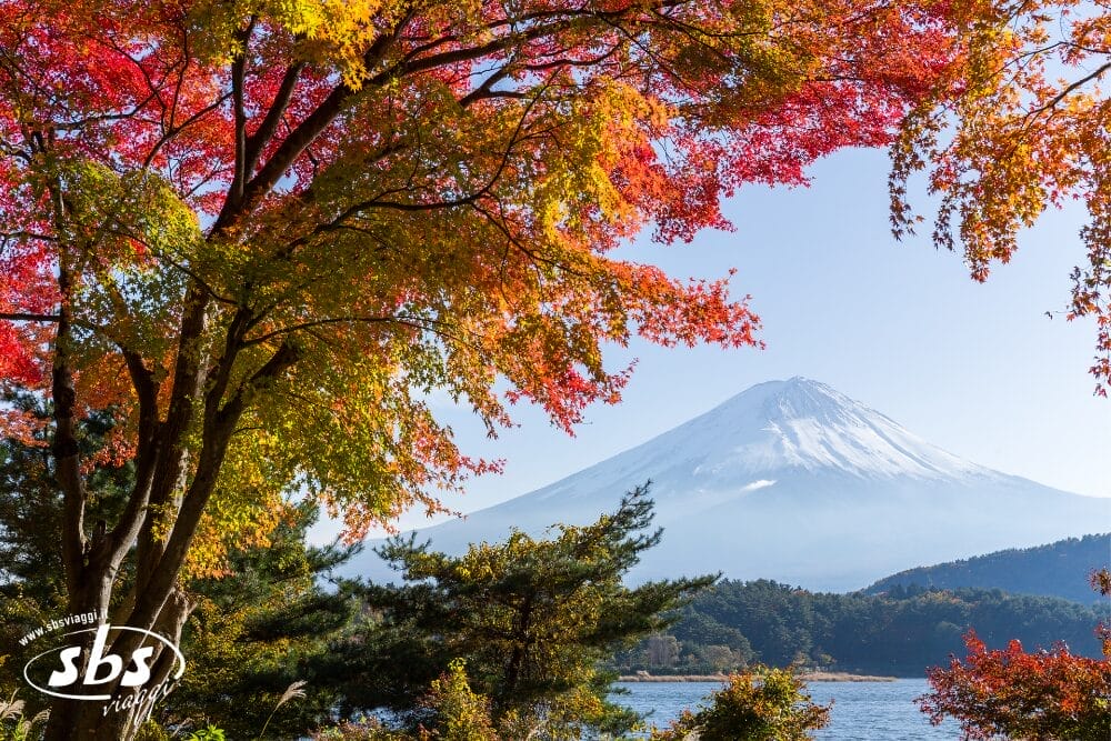 Il Monte Fuji sullo sfondo in una giornata limpida, incorniciato da vivaci alberi autunnali con foglie rosse, arancioni e verdi. Un lago e alberi sempreverdi sono visibili in primo piano, catturando la bellezza della natura come una bozza automatica.