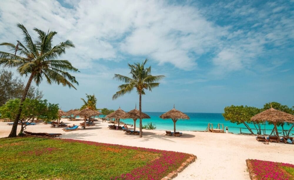 Una spiaggia tropicale con palme, Baobab e ombrelloni di paglia, sedie a sdraio e acqua limpida e turchese sotto un cielo parzialmente nuvoloso. Il Bravo Premium Sandies è caratterizzato da arbusti verdi e fiori rosa in primo piano.