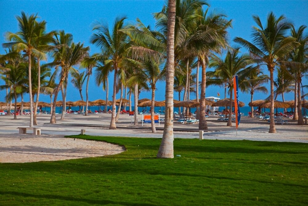 Una spiaggia tropicale con alte palme, erba verde e zone sabbiose. Ombrelloni di paglia, sedie a sdraio e persone sono visibili sullo sfondo vicino al litorale dello splendido Salalah Rotana Resort, sotto un cielo azzurro e limpido.
