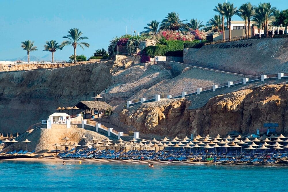 Una spiaggia con file di lettini e ombrelloni lungo la riva di Sharm El Sheikh, incastonata in scogliere rocciose sormontate da palme, fiori ed edifici che si affacciano sullo scintillante Mar Rosso.