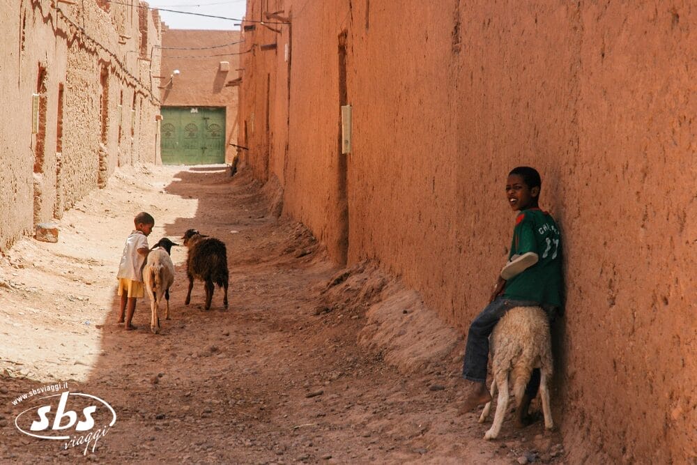 Due bambini accudiscono le capre in un vicolo stretto e illuminato dal sole, con alti muri di adobe marrone: una scena che ricorda un villaggio del Sahara. Uno è in piedi con una capra, mentre l'altro, sorridente, siede su un'altra. La filigrana SBS è visibile nell'angolo in basso a sinistra.