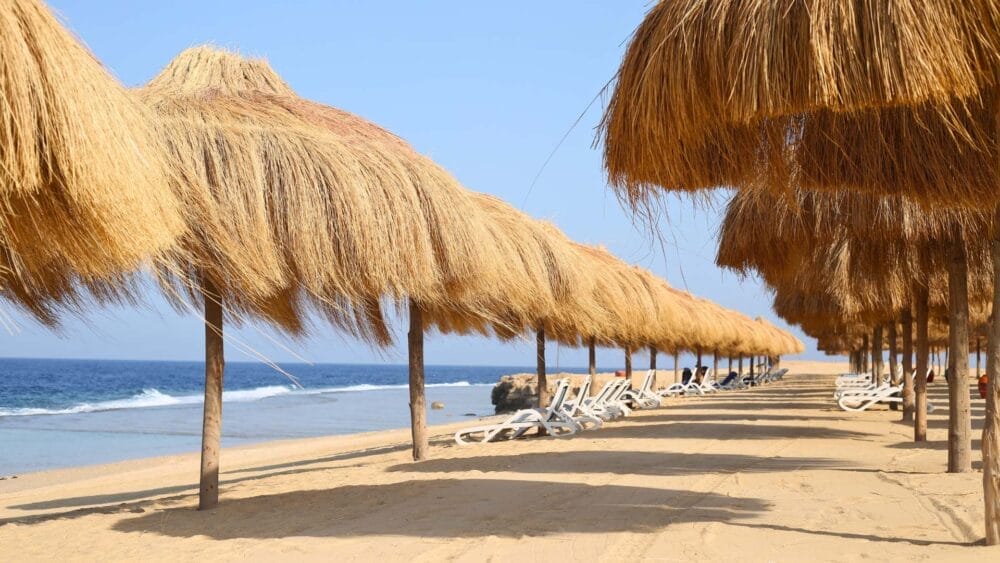 File di ombrelloni di paglia fanno ombra a sedie a sdraio bianche e vuote su una spiaggia sabbiosa in riva al mare di Amarina Jannah. Il cielo è limpido e azzurro e le onde sono visibili lungo il litorale.