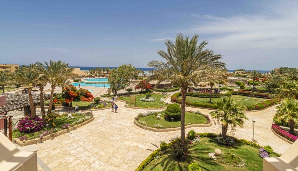 Il giardino dell'Elphistone Resort è caratterizzato da palme, fiori colorati e sentieri tortuosi in pietra, con una grande piscina che si fonde perfettamente con la vista del mare all'orizzonte sotto un cielo azzurro e limpido.