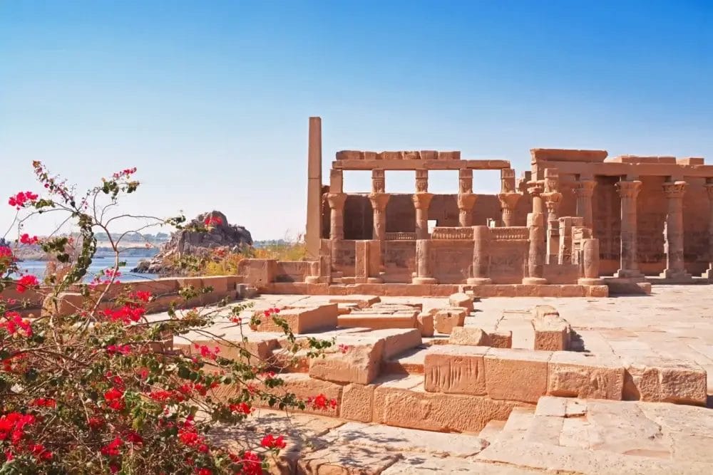 Le antiche rovine in pietra del complesso del Tempio di Philae in Egitto sotto un cielo azzurro e limpido, con cespugli fioriti rosa in primo piano e il fiume scintillante: una scena suggestiva catturata come una Bozza automatica.