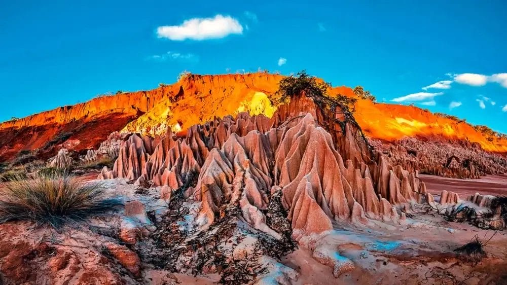 Formazioni di arenaria erosa con creste e pinnacoli affilati in primo piano, sostenute da una scogliera rossa arancione illuminata dal sole, sotto un cielo blu brillante con nuvole sparse. Erbe secche e arbusti sono sparsi intorno.